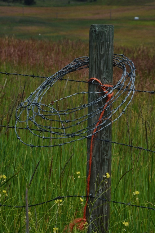 barbed wire roll on fencepost